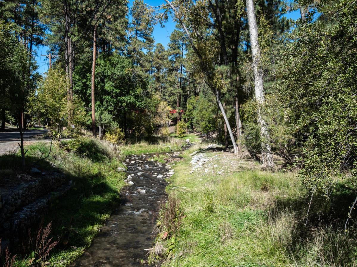 Perfect Cabin, 2 Bedrooms, Fireplace, Midtown, Sleeps 5 Ruidoso Eksteriør bilde